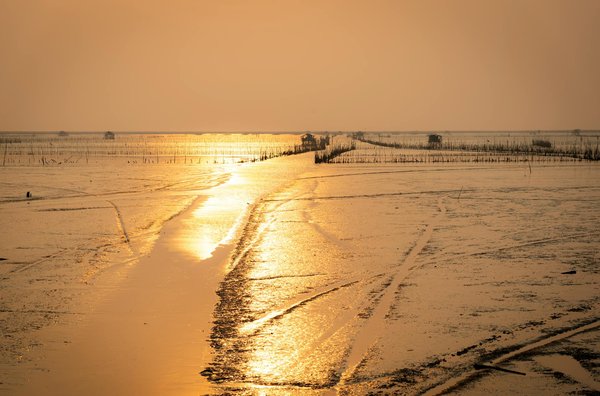 Discover ancient abbeys: the definitive guide to uk cruises and magical adventures